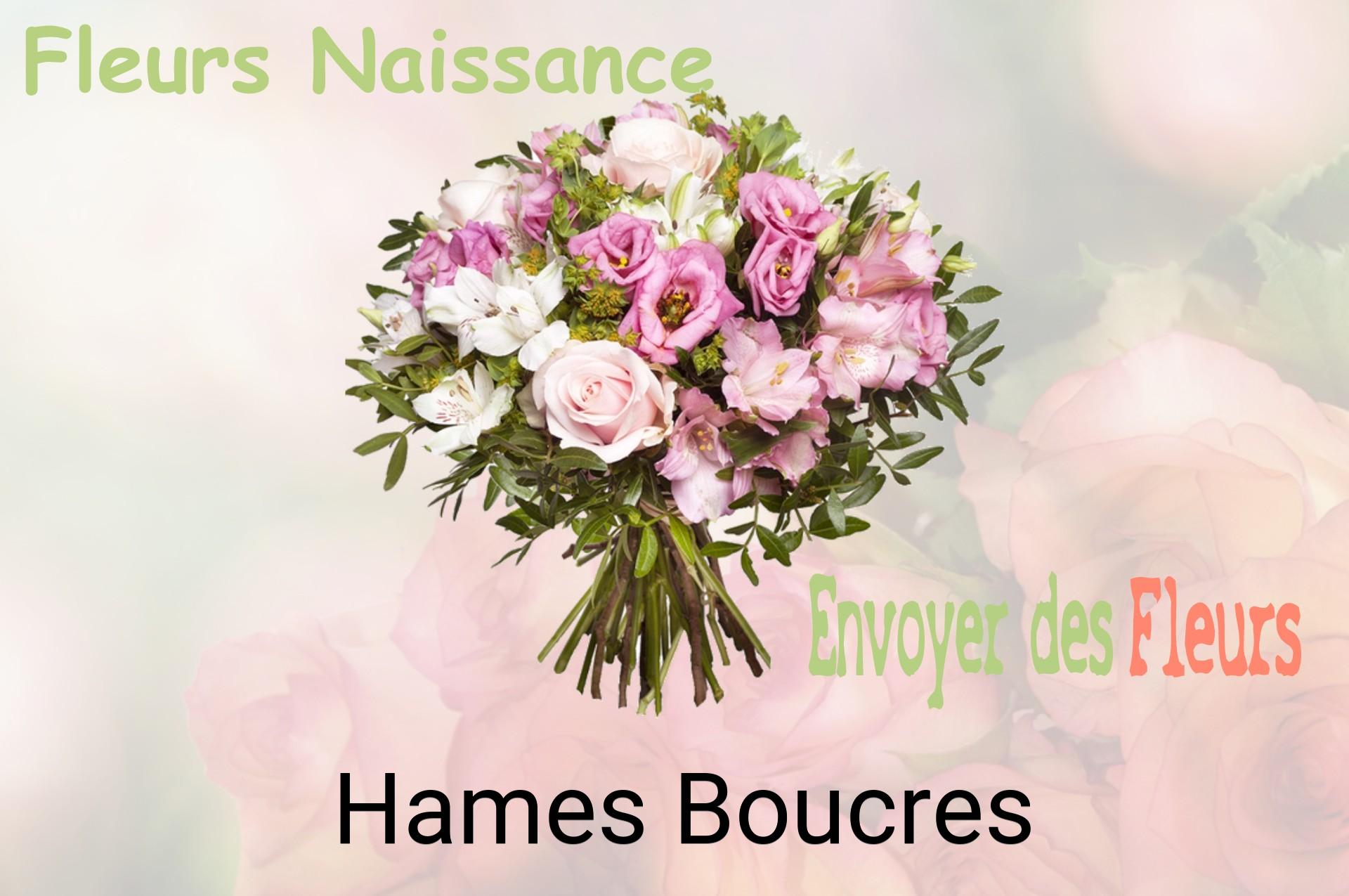 Bouquet de fleurs de naissance livré à Hames-Boucres